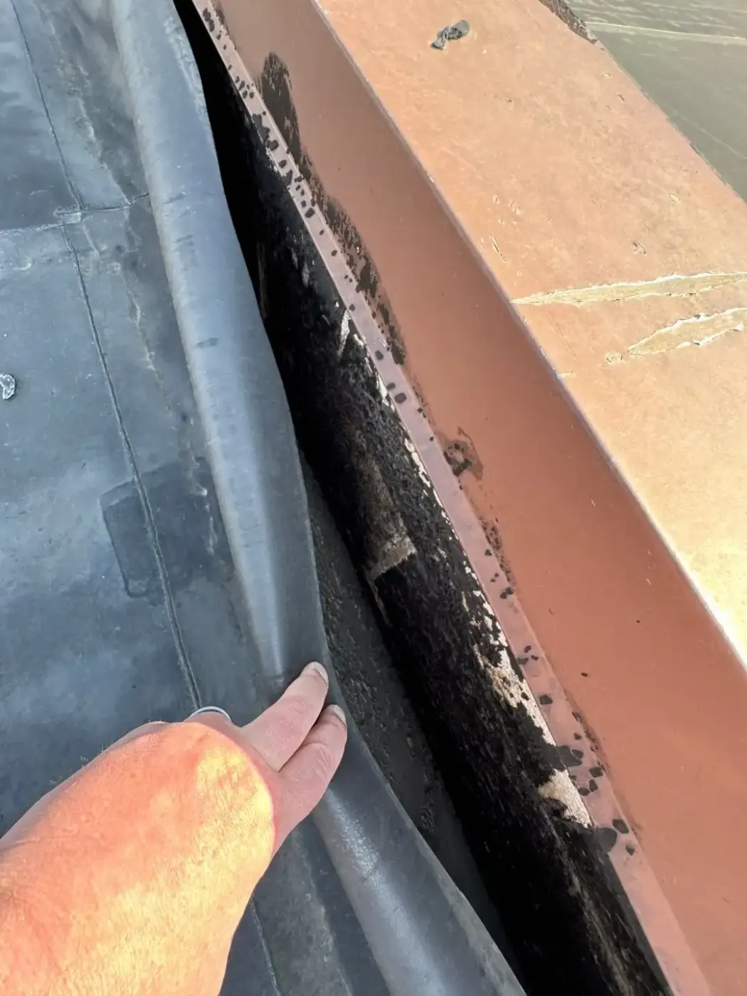 Tarping and dry-in on a Danville commercial roof